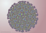 corona-virus-falschfarben_20200406_2007912663.jpg