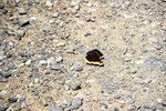 DSC_0173.JPG DSC_0173.JPG