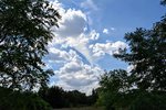 DSC_0097.JPG