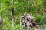 DSC_0162.JPG