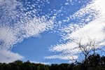 DSC_0033.JPG