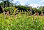 DSC_0104.JPG DSC_0104.JPG