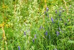 DSC_0162.JPG DSC_0162.JPG