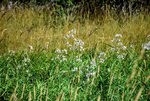 DSC_0219.JPG DSC_0219.JPG