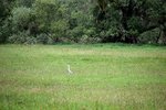 DSC_0099.JPG DSC_0099.JPG