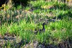 DSC_0126.JPG DSC_0126.JPG