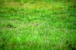 DSC_0024.JPG DSC_0024.JPG