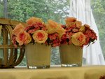 klein_ - 1 (48).jpg