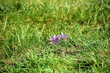 DSC_0011.JPG DSC_0011.JPG