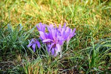 DSC_0004.JPG DSC_0004.JPG