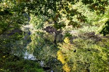 DSC_0060.JPG DSC_0060.JPG