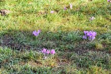 DSC_0018.JPG DSC_0018.JPG