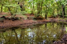 DSC_0107.JPG DSC_0107.JPG