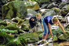 DSC_0142.JPG DSC_0142.JPG