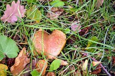 DSC_0019.JPG DSC_0019.JPG