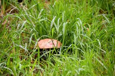 DSC_0102.JPG DSC_0102.JPG