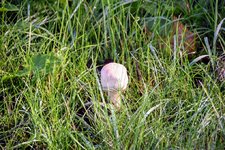 DSC_0013.JPG DSC_0013.JPG