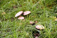 DSC_0011.JPG DSC_0011.JPG