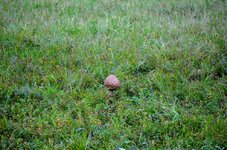 DSC_0207.JPG DSC_0207.JPG