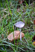 DSC_0069.JPG DSC_0069.JPG