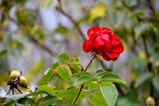 DSC_0018.JPG DSC_0018.JPG