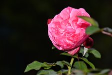 DSC_0043.JPG DSC_0043.JPG