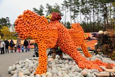 DSC_0121.JPG
