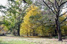DSC_0087.JPG