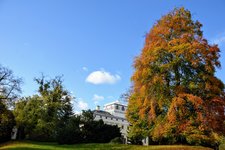DSC_0161.JPG