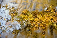 DSC_0141.JPG DSC_0141.JPG