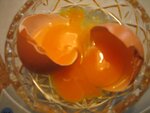 Fotos seit Anfang 2009 122.jpg