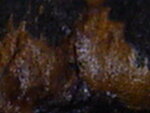 xx 003.jpg