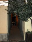 IMG_0165.jpg