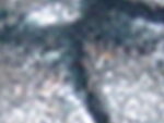 bild 004.jpg