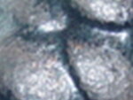 bild 003.jpg