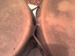Bild 232.jpg