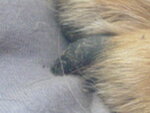 räzel 010.jpg