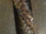 räzel 007.jpg