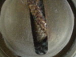 räzel 008.jpg