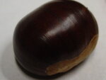 castania.jpg