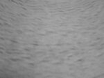 Bild 265.jpg