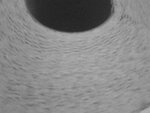 Bild 267.jpg
