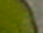 hm 008.jpg