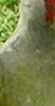 ups3.jpg