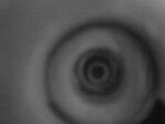 Bild 292.jpg