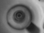 Bild 290.jpg