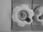 Bild 291.jpg