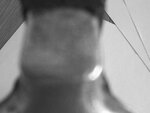 Bild 293.jpg