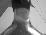 Bild 296.jpg