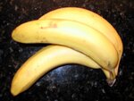 IMG_0001.jpg